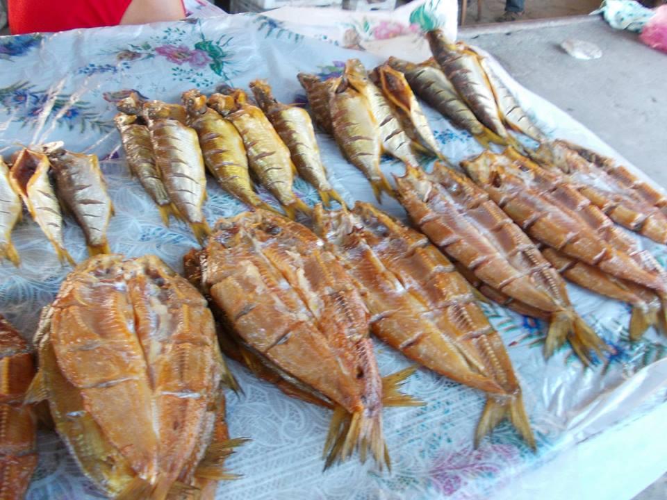 yamy - 9948384429185324816902098703377n.jpg